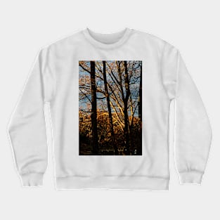 Sun Kissing Crewneck Sweatshirt